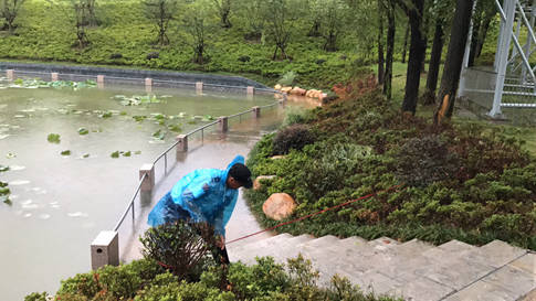 20190810抗击利奇马台风 -封闭临水道路_副本.jpg