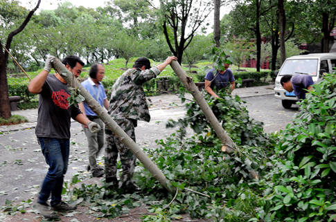 20190812无锡影视基地区全力抗击台风“利奇马” -工作人员清理道路两侧掉落树枝_副本.jpg