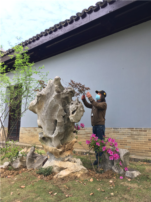 景区园艺师精心布置景观小品.jpg