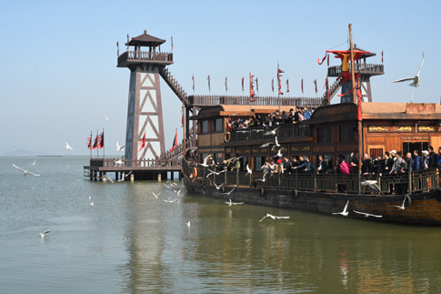 无锡影视基地游客乘古船游湖赏鸥.jpg 无锡影视基地游客乘古船游湖赏鸥.jpg