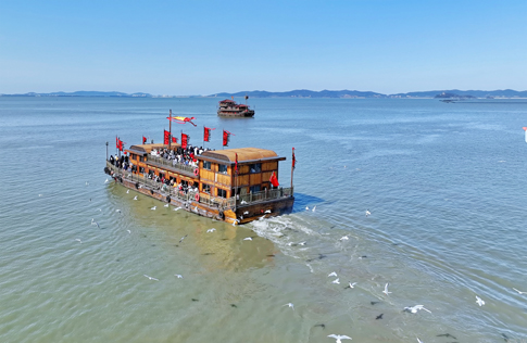 无锡景区游客搭乘互通航线游湖赏鸥.jpg
