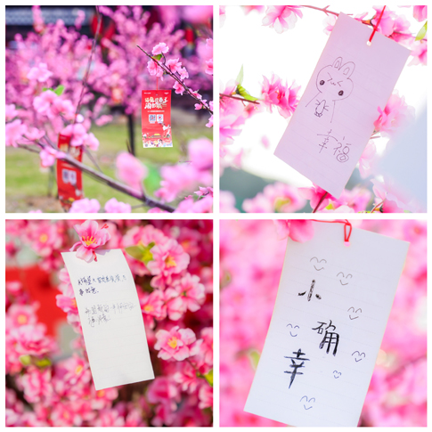 南海景区情侣在桃花签上许下美好愿望.JPG