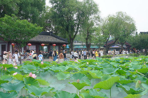 无锡景区众多游客赏荷拍照.JPG