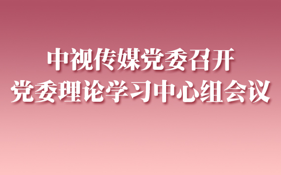 中视传媒党委召开党委理论学习中心组会议