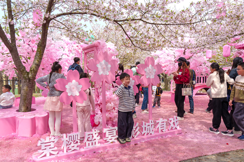 4无锡景区樱花林打卡氛围热烈.jpg