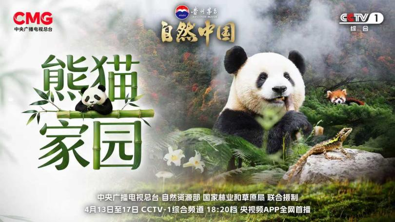 北京分公司承制大型纪录片《熊猫家园》登陆总台综合频道
