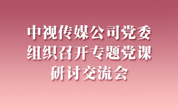 中视传媒公司党委组织召开专题党课研讨交流会