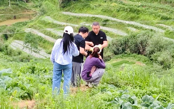 北京分公司承制大型融合传播项目《长征路上新乡村》赓续启程